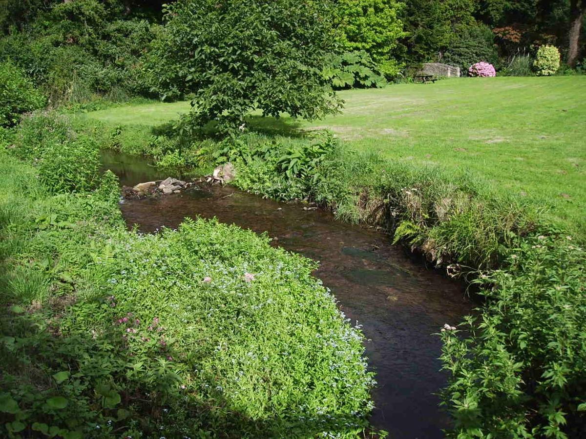 Luxury Bed And Breakfast At Bossington Hall In Exmoor, Somerset Porlock Exterior foto