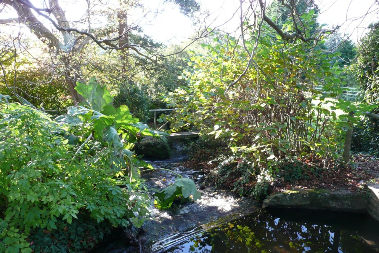 Luxury Bed And Breakfast At Bossington Hall In Exmoor, Somerset Porlock Exterior foto